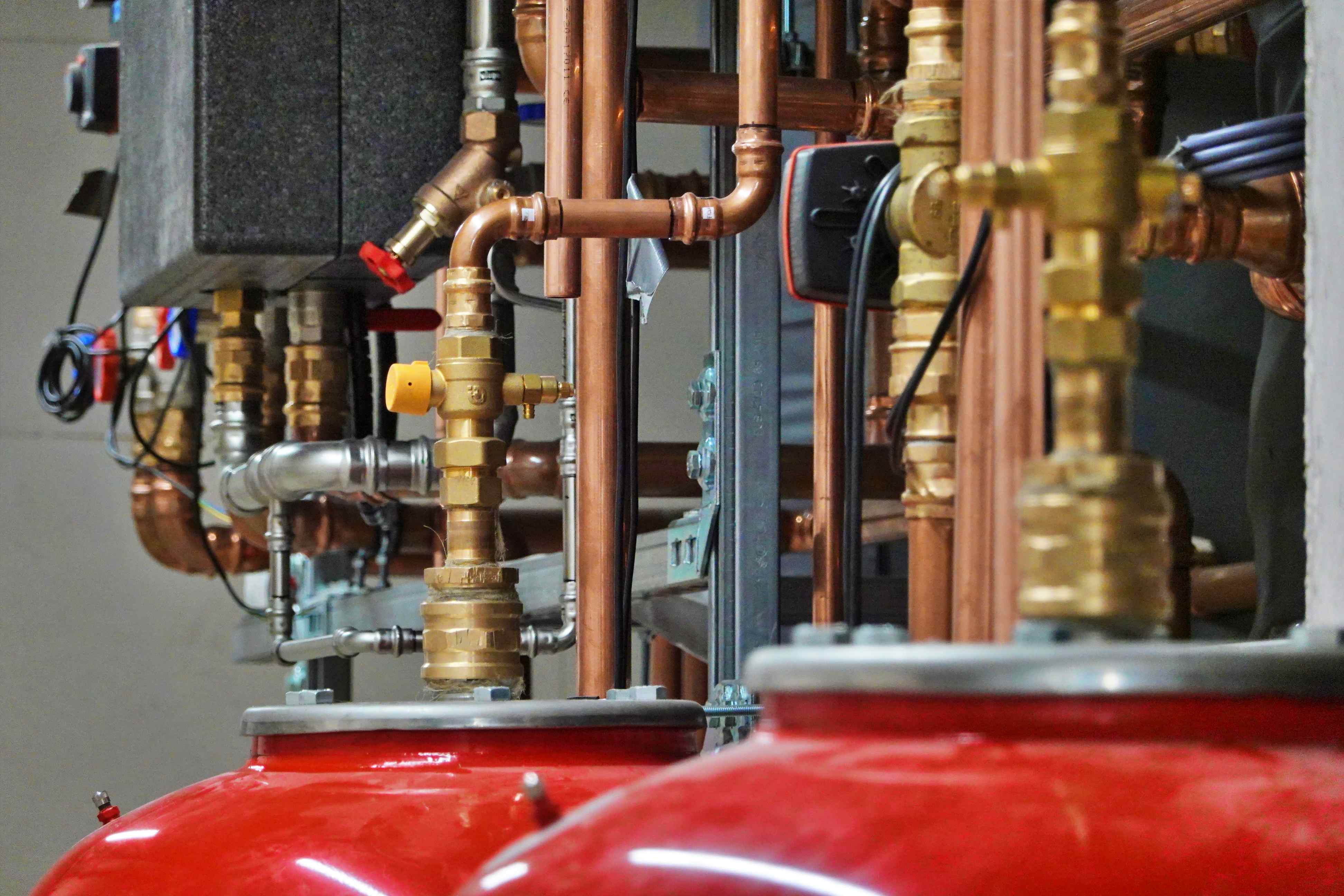 nestbau_Neschtle-Pfrondorf_240919%20%2827%29_bearb_Horizont_500kb