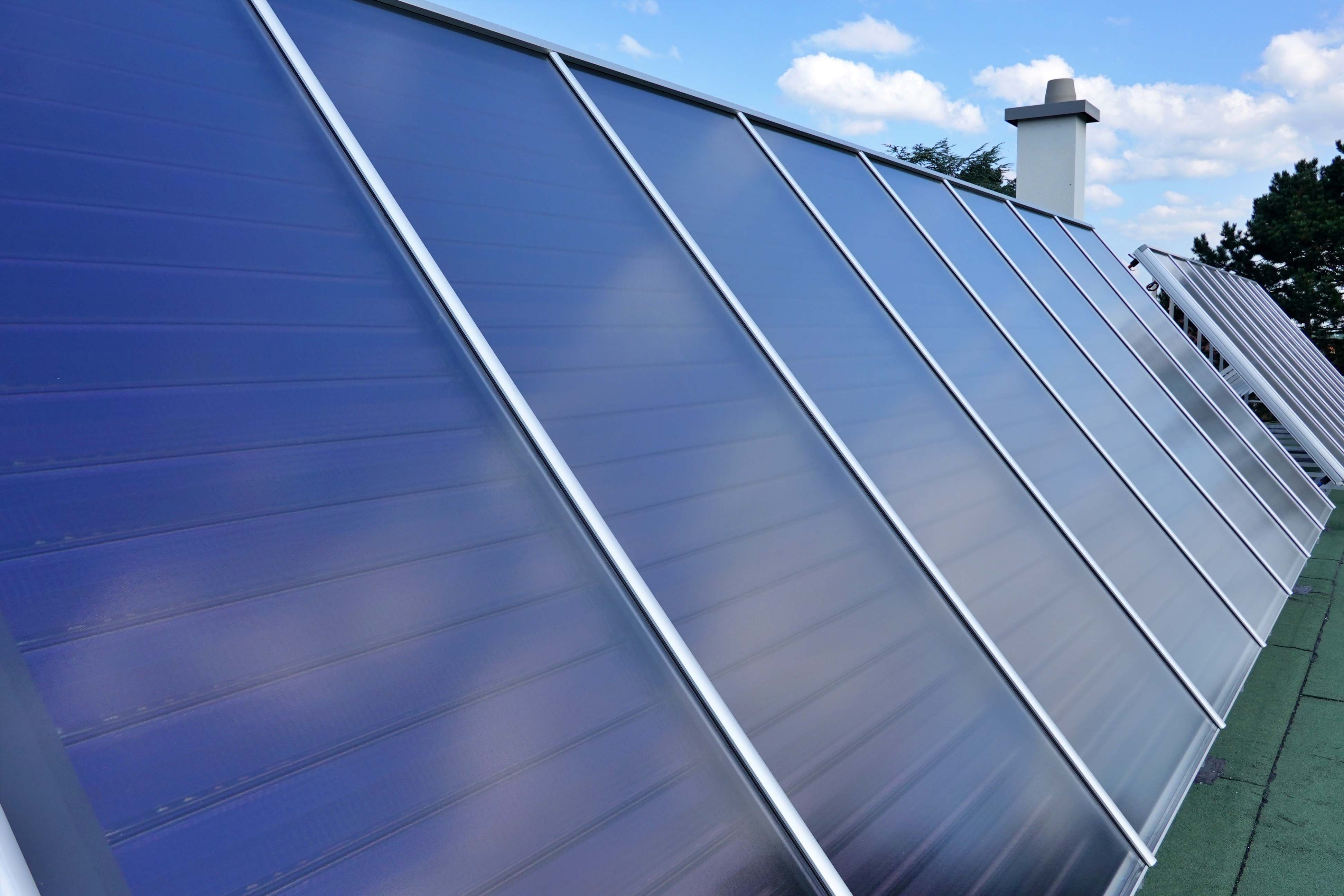 nestbau_Neschtle-Pfrondorf_240919%20%287%29_bearb-kompr-500kb